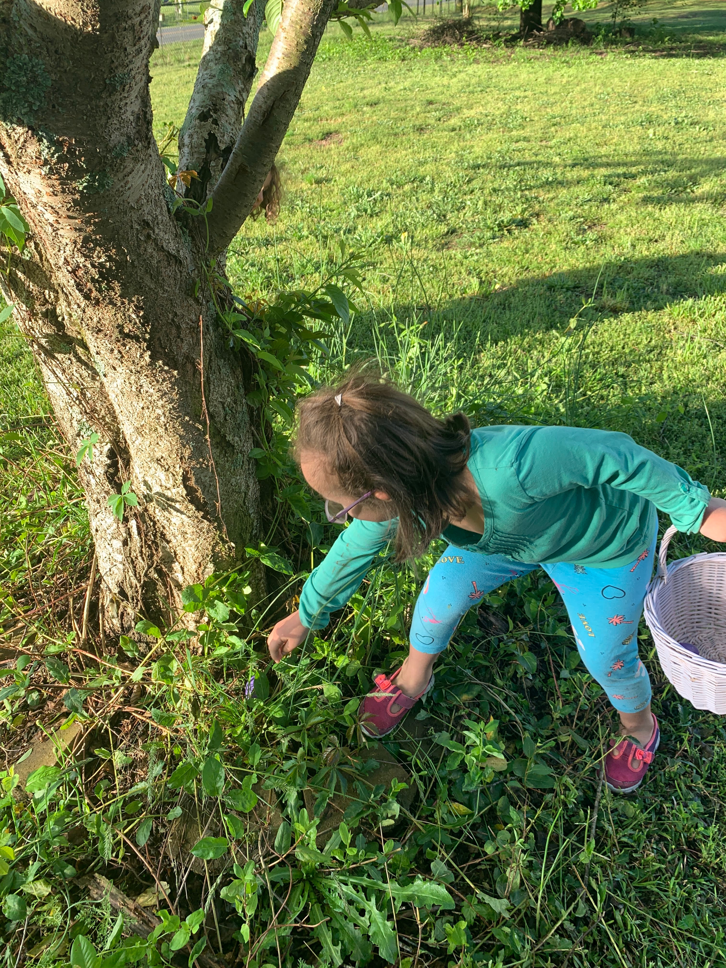 Egg Hunt